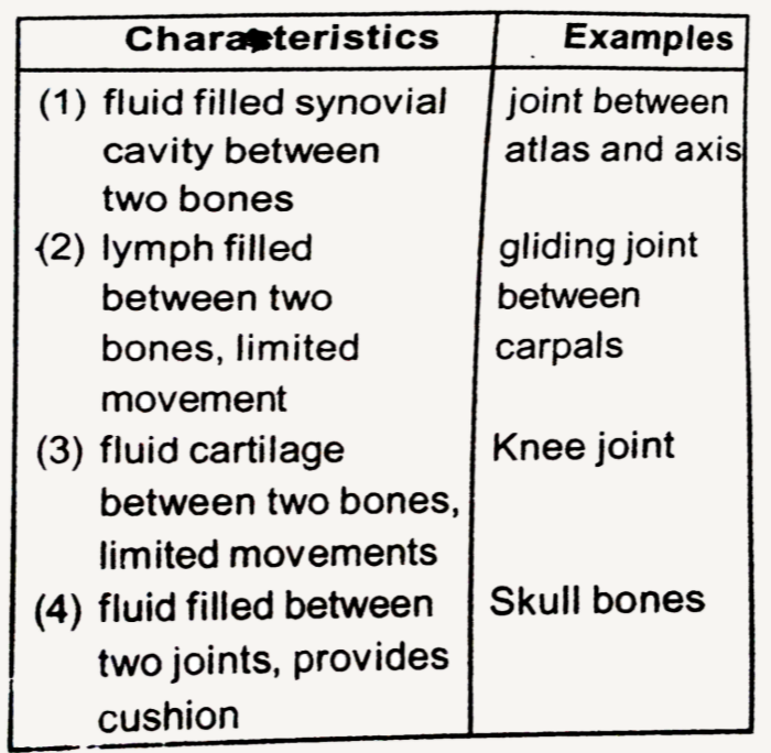 The characteristics and an example of a synovial joint in humans is