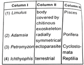 Match the name of the animal (column I), with one characteristics (column II), and the phylum/ class (column Ill) to which it belongs