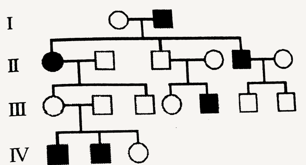 In the following human pedigree, the filled symbols represent the affected individuals. Identify the type of given pedigree