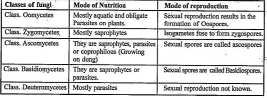 Give A Comparative Account Of The Classes Of Kingdom Fungi Under The M give-a-comparative-account-of-the-classes-of-kingdom-fungi-under-the-m