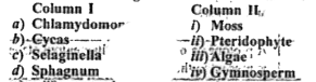 Match the following column I with column II