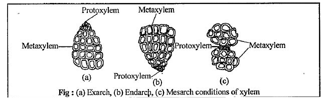 ocr_image