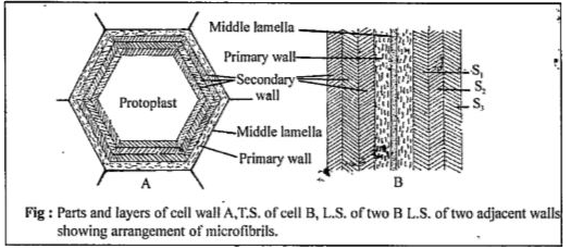 ocr_image