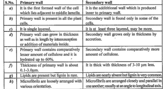 Differentiate Between Primary And Secondary Walls 