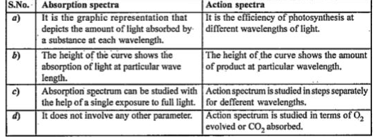 Differentiate Between Absorption Spectra And Action Spectra.