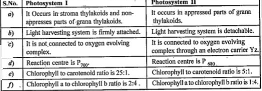 Differentiate Between Photosystem I And Photosystem Ii 