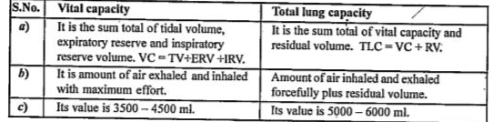 differentiate-between-vital-capacity-and-total-lung-capacity