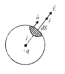 State Gauss's Theorem In Electrostatics. How Will You Prove It For Sph