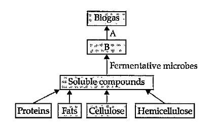 Villagers in a place near Chambur started planning to make power supply for agricultural purpose from cow dung. They have started a biogas plant for the purpose. Study the flow chart for biogas production given below and answer the following questions.      'C' in the given flow chart represents: