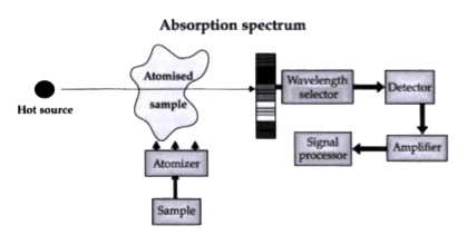 Read the following text and answer the following questions on the basis of the same:   Atomic Absorption Spectrometer: The atomic absorption (AA) spectrometer is used to analyze metals at very low concentrations, typically in the parts per million (ppm) or parts per billion (ppb) ranges. A liquid sample containing dissolved material whose concentration is to be measured is aspirated into a thin, wide AA flame, or is introduced into a small carbon furnace which is heated to a high temperature.      Basic Principle of AAS is the measurement of absorption of radiation by free atoms. The total amount of absorption depends on the number of free atoms present and the degreee to which the free atoms absorb the radiation. At the high temperature of the AA flame, the sample is broken down into atoms using an atomizer and it is the concentration of these atoms that is measured. Sample in the form of solution is used. It is broken up into a fine mist with the help of an atomizer. When the mist reaches the flame, the intense heat breaks up the sample into its individual atoms. When a photon coming out from the hot source hits an atom and the energy of the photon is equal to the gap between two electron energy levels of the atom, then the electron in the lower energy level absorb the photon and jumps up to the higher energy level. If the photon energy does not correspond to the difference between two energy levels, then the photon will not be absorbed (it may be scattered away). Hence in the spectrum, the wavelength corresponding to the absorbed photons is observed as black lines as shown in the following spectrum of Hydrogen. The dark lines correspon to the frequencies of light those have been absorbed by the sample element. Using this process, a source of photons (generally a white light) of various energies is used to obtain the absorption spectra of different materials and to identify them.    What is the basic principle of Atomic Absorption Spectrophotometer?