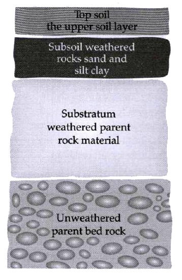 Study The Given Figure And Answer The Following How Many Layers