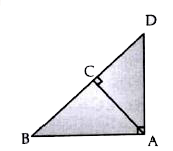 In the figure given below ABC is a triangle right angled at A and AC bot BD . Show that      AB^(2) = BC xx BD