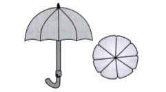 An umbrella has 8 ribs which are equally spaced (see figure). Assuming umbrella to be a flat circle of radius 45 cm, find the area between the two consecutive ribs of the umbrella.