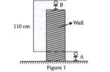 Two friends Mr. A and Mr. B stand according to figure 1 . The two friends then interchange their positions as given in figure 2       The height of the wall from the ground is