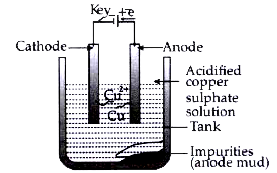Draw a neat and well labelled diagram for electrolytic refining of cop