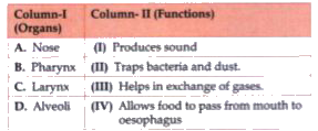 Match the column I (Organs) with column II (Functions) and choose the correct options.