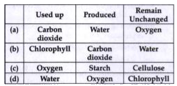 In photosynthesis, which substances are used up, which are produced and which are necessary, but remain unchanged after the reaction?