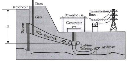 Study the given diagram answer the question       Which of the following is another example of  renewable source of energy?