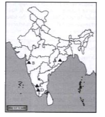 A = Anaimudi, B = Mahendragiri,, C = Dodabeta, D = Mahabaleshwar