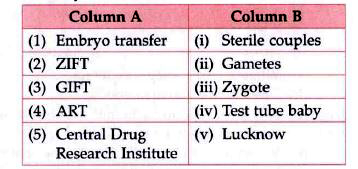 Match The Pairs Of Column A And Column B Correctly