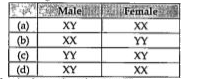 What are the chromosomes for the two sexes in human beings?