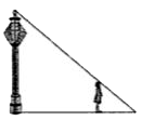 A girl, named Ritika of height 90 cm is walking away from the ase of a lamp-post, She observes the shadows of lamp-post and herself and relate it with a chapter of mathematics, she studied in her last class.      On the basis of information, answer the following question      If CE = 150 cm, then AC =