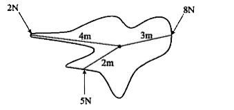 An irregular plane lamina is acted upon by several combination of forces. Is the lamina in equilibrium?