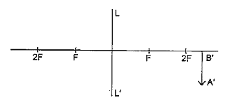The diagram below shows an image formed at a distance 36 cm from the lens LL' of focal length 12 cm. With respect to this answer the questions that follow.      The object distance with sign convention is: