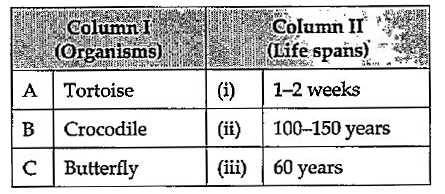 Match the organisms given in column I with their approximate life spans given in column II and choose the correct option.