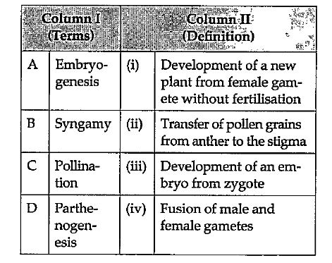 Match the terms given in column I with their correct definition given in column II and choose the correct option.