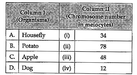 Match the organisms given in column I with the chromosome number in their meiocytes given in column II and choose the correct combination from the options given below.