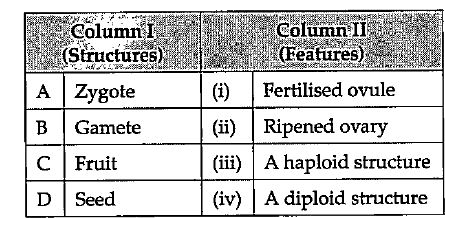 Match the structures given in column I with their features given in column II. Select the correct option.