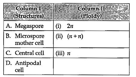Match the structures given in column I with their ploidy levels given in column II and select the correct option.