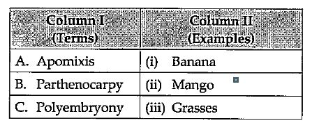 Match the terms given in column I with their examples given in column II and select the correct option.