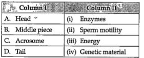 Match between the following representing parts of the sperm and their functions and choose correct option.