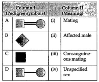 Match the symbols used in human pedigree analysis given in column I with their meaning given in column II and choose the correct option.