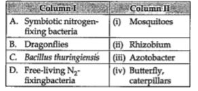 Match the following columns: