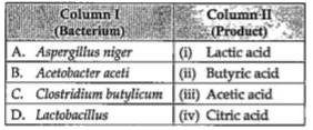 Match the following list of bacteria and their commercially important products:      Choose the correct match