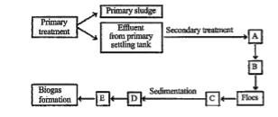 Given below is the flow chart of sewage treatment. Identify A, B, C, D and E and select the correct option