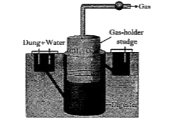 In a village, a group of people have established a biogas plant in their village to obtain the energy and manure. It consists of a concrete tank in which the biowastes and a slurry of cow dung is fed. A floating cover is placed on the slurry, which keeps on rising, the gas is produced in the tank due to the microbial activity. The biogas plant has an outlet that is connected to a pipe for supply of biogas to the nearby houses. The biogas plant can be used more efficiently and economically and does not add to pollution.       Wastewater treatment produces a large amount of sludge, which can be treated by: