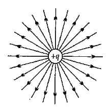 In the above picture, what will be the value of the positive charge ?