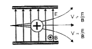 The above picture depicts which concept of magnetic effects?