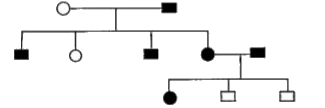 Study the given Pedigree chart and answer the questions that follow.      What would be the phenotype of the generation 1 when two homogenous alleles (dominant and recessive) are crossed?
