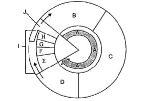 Rewrite the terms in logical sequence as directed at the end of each statement   Karyokinesis, S-phase, Cytokinesis, G(1)-phase, G(2)-phase