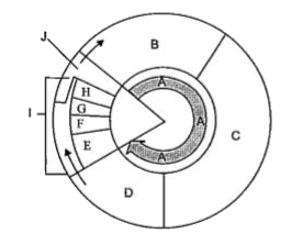 Choose the correct labelling of cell cycle phases from the following options.   I. - Prophase, F- Metaphase, G-Anaphase.    II. H-Telophase, I-Mitosis, - Cytokinesis.   III. B-G phase, C-S phase, D-G, phase.   IV. H-Metaphase, I- Karyokinesis, - Cytokinesis