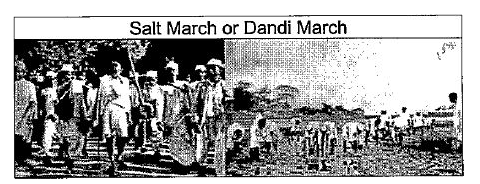How many days did Gandhi take to complete the Dandi March?