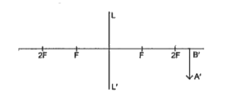 The diagram below shows an image formed at a distance 36 cm from the lens LL' of focal length 12 cm. With respect to this answer the questions that follow.        The position of the object on the left-hand side should be