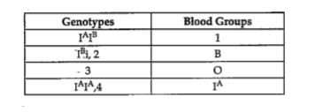 In human beings gene I controls the ABO blood groups. The gene I has three alleles I^A,I^B,i. Since there are three different alleles, six different genotypes are possible. If two persons with 'AB' blood group marry and have many children, there children can be categorised as 'A' blood group, 'B' blood group and 'AB' blood group in 1:1:2 ratio. Modern technique of protein electrophoresis reveals presence of both 'A', and 'B' type protein in 'AB' blood group individuals.   Complete the following table:
