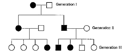 Study the pedigree analysis given below and answer the questions that follow:          A son receives X-chromosome from,