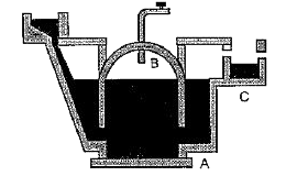 Study the diagram of biogas plant given below and answer the questions that follow.         The major constituents of biogas are: